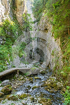 Krásny turistický chodník v regióne Nízke Tatry na Slovensku. Pešia cesta v horách a lese.