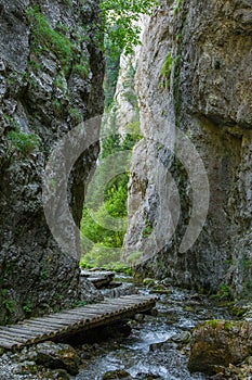 Krásny turistický chodník v regióne Nízke Tatry na Slovensku. Pešia cesta v horách a lese.