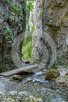 Krásny turistický chodník v regióne Nízke Tatry na Slovensku. Pešia cesta v horách a lese.
