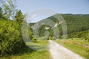 A beautiful hiking trail in Low Tatra region in Slovakia. Walking path in mountains and forest.