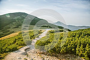 Krásny turistický chodník v horách. Horská krajina v Tatrách na Slovensku.