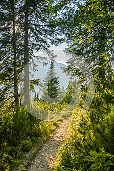 A beautiful hiking trail in the mountains. Mountain landscape in Tatry, Slovakia.