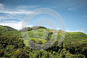 Beautiful hill with blue sky