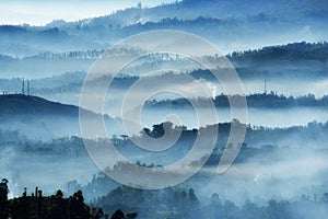 Beautiful hills whit fog and  forest background, Sri Lanka