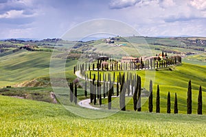 Beautiful hillscape with cypress road at Crete Senesi