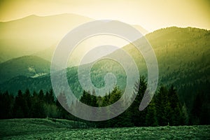 A beautiful hillside scenery of Tatra mountains.