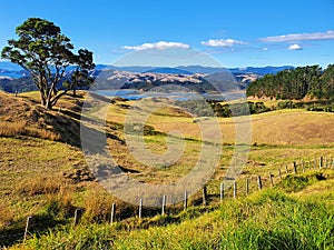 Beautiful hilly landscape in Coromandel peninsula, New Zealand