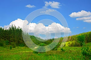 Beautiful hilly landscape with pine forest and fluffy clouds