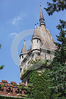 beautiful historical building in Budapest in Hungary