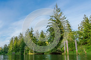 Beautiful and Historice Chehalis River Kayak Trip Montesano, Washington State