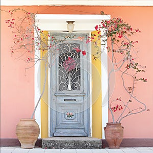 Beautiful homely house door with flowers photo