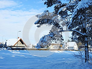 Beautiful homes and snowy plants in winter, Lithuania