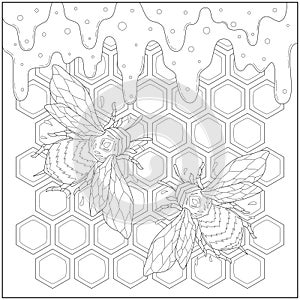 Beautiful honey bee in the beeswax and flowing honey. Learning and education coloring page