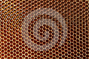 Beautiful honeycomb without honey texture