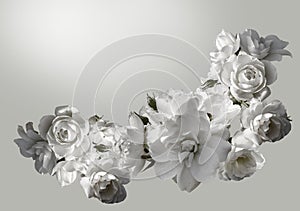 Beautiful horizontal frame with a bouquet of white roses with rain drops. Black and white toning image