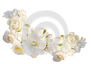 Beautiful horizontal frame with bouquet of white roses with rain drops isolated on white background