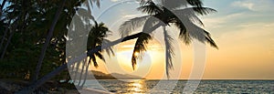 Beautiful horizontal image breathtaking sunset over Siam gulf on the Samui island at sunset, leaning palm trees above the water