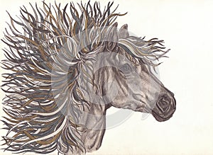 Beautiful Horse with bright colorful mane.Drawning by pencil .Close-up