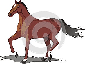 Beautiful horse drawing, color