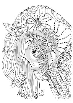 Beautiful horse head, adult coloring page