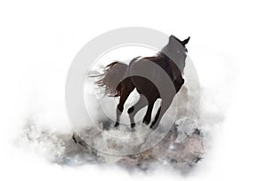 Beautiful horse kicking up dust while running on white