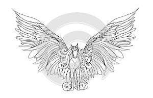 Beautiful Horse with mane and wings.Pegasus. Vector illustration . Black and white style