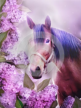 Beautiful horse with purple lilac