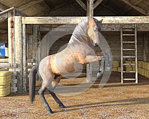 Beautiful Horse Rearing up in front of Wooden Stable