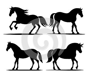 Beautiful horse silhouettes set vector