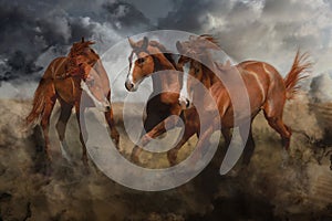 Beautiful horses kicking up dust while running under stormy sky