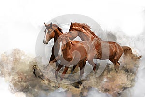 Beautiful horses kicking up dust while running on white background