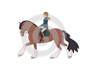 Beautiful horsewoman rides a shire horse
