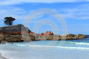 A Beautiful and Hot Day at Binalong Bay, Tasmania, Australia