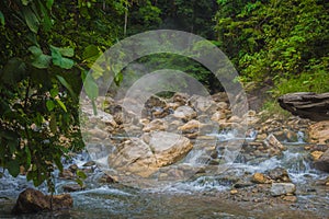 Beautiful hot springs in the jungle