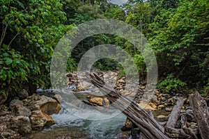 Beautiful hot springs in the jungle