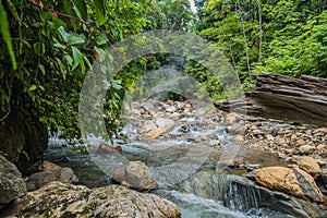 Beautiful hot springs in the jungle