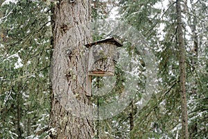 A house for birds made from tree bark