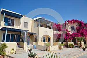 Beautiful house with bouganvillea flowers