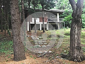 Beautiful house in the forest. Spouth Korea