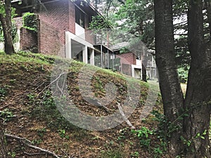 Beautiful house in the forest. Spouth Korea