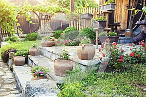 Beautiful house frontyard with flowers