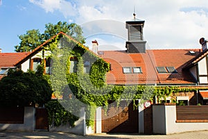 Beautiful house with ivy. Beautiful autumn. Beautiful house. Facade of the house with ivy.Texture. Background.