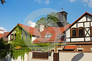 Beautiful house with ivy. Beautiful autumn. Beautiful house. Facade of the house with ivy.Texture. Background.