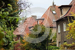 Beautiful house with ivy. Beautiful autumn. Beautiful house. Facade of the house with ivy.Texture. Background.