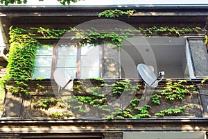 Beautiful house with ivy. Beautiful autumn. Beautiful house. Facade of the house with ivy.Texture. Background.