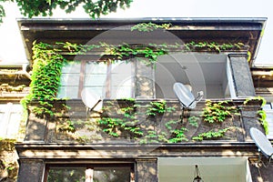 Beautiful house with ivy. Beautiful autumn. Beautiful house. Facade of the house with ivy.Texture. Background.