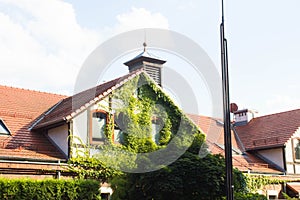 Beautiful house with ivy. Beautiful autumn. Beautiful house. Facade of the house with ivy.Texture. Background.