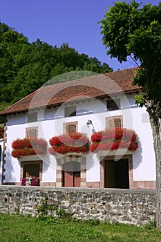 Beautiful house in Navarra with flowers on balcony