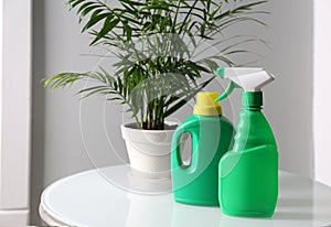 Beautiful house plant and bottles of fertilizers on table indoors. Space for text