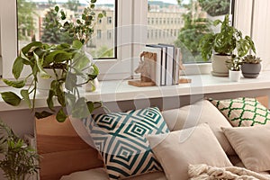 Beautiful house plants and books on windowsill indoors. Home design idea